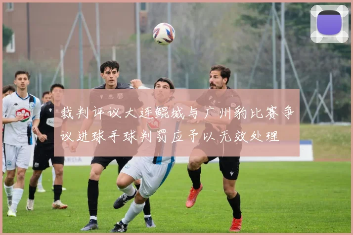 裁判评议大连鲲城与广州豹比赛争议进球手球判罚应予以无效处理