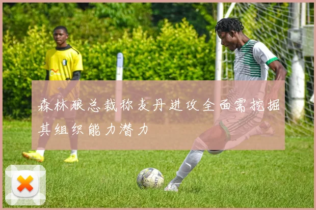 森林狼总裁称麦丹进攻全面需挖掘其组织能力潜力