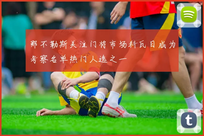 那不勒斯关注门将市场科瓦日成为考察名单热门人选之一