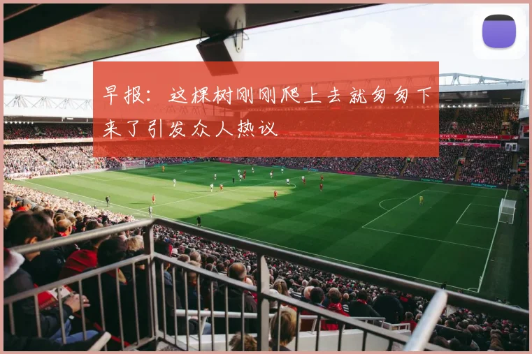 早报：这棵树刚刚爬上去就匆匆下来了引发众人热议