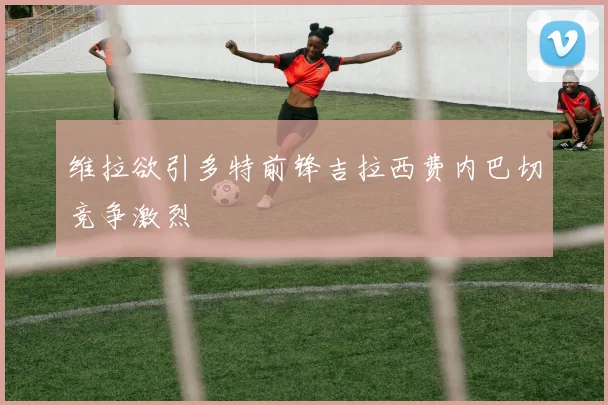 维拉欲引多特前锋吉拉西费内巴切竞争激烈