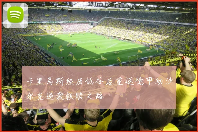 卡里乌斯经历低谷后重返德甲助沙尔克逆袭救赎之路