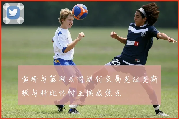 黄蜂与篮网或将进行交易克拉克斯顿与科比怀特互换成焦点